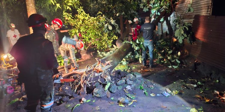 Instituciones del Sistema CONRED evalúan afectaciones por lluvias