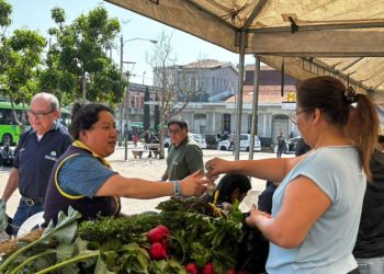 La Feria del Agricultor llega a Teculután, Zacapa