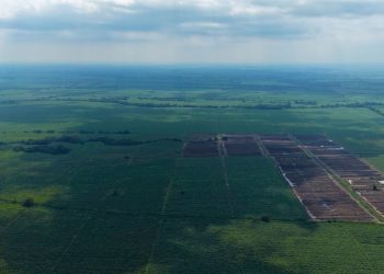 ¿Sabes en que etapa se encuentra el fenómeno de El Niño en Guatemala? Aquí te lo contamos.
