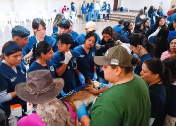 Brindan atención a los animales de compañía durante jornada de salud