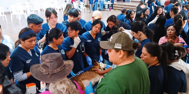 Brindan atención a los animales de compañía durante jornada de salud