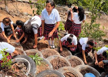 Jóvenes de El Adelanto aprenden a cultivar sus propios alimentos