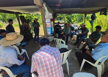 Cultivo de tilapia fortalece la seguridad alimentaria de familias de Santa Rosa