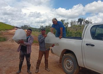 Entrega de alevines fortalece seguridad alimentaria de comunidades de Petén