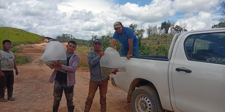 Entrega de alevines fortalece seguridad alimentaria de comunidades de Petén