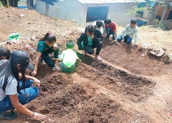 Estudiantes aprenden cómo producir alimentos mediante los huertos escolares