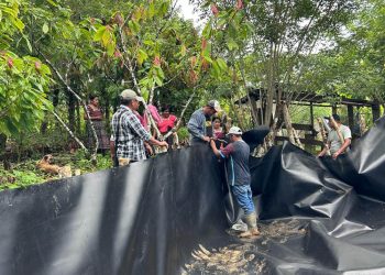 Sistemas de riego fortalecerán producción de San Luis