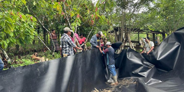 Sistemas de riego fortalecerán producción de San Luis