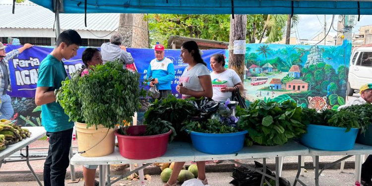 En Melchor de Mencos llegron productos frescos a precios de feria
