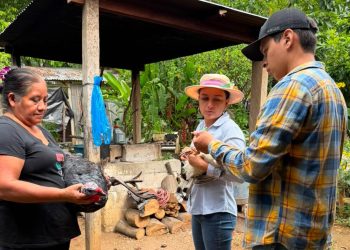 Productores de El Chal fortalecen la sanidad avícola