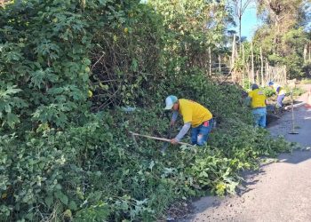Se ha atendido 107 emergencias en carreteras durante el invierno 2026