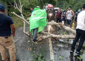 Más de 4 mil usuarios reciben apoyo de PROVIAL durante la temporada de lluvias