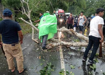 Más de 4 mil usuarios reciben apoyo de PROVIAL durante la temporada de lluvias