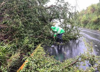 PROVIAL atiende a más de 5 mil usuarios y mantiene la seguridad vial durante la temporada de lluvias