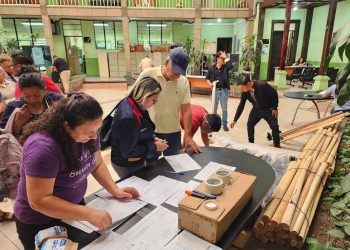 Los huertos escolares son una herramienta para el aprendizaje y la educación alimentaria