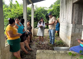 Fortalecen producción de hortalizas con sistema de riego