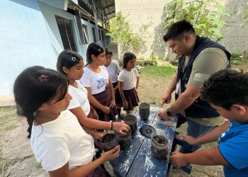 Los huertos escolares promueven aprendizaje y alimentación saludable