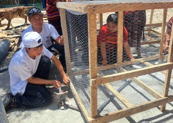 Jóvenes impulsan el desarrollo productivo y la sostenibilidad del campo