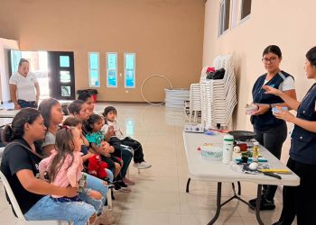 Alternativas alimentarias combaten la desnutrición