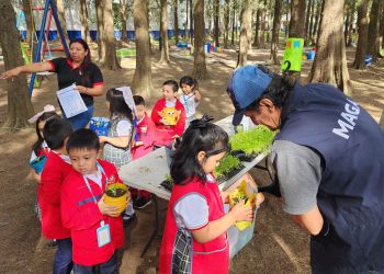 Estudiantes fortalecen conocimientos de agricultura, nutrición e higiene mediante actividades prácticas