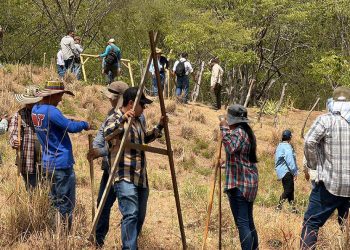 Metodología Keyline se consolida con prácticas de campo