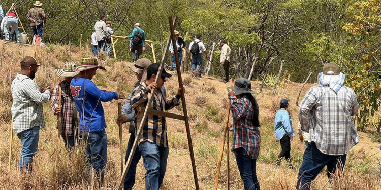 Metodología Keyline se consolida con prácticas de campo