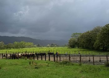 Para esta semana se prevé que continúe el calor y se presenten lluvias irregulares