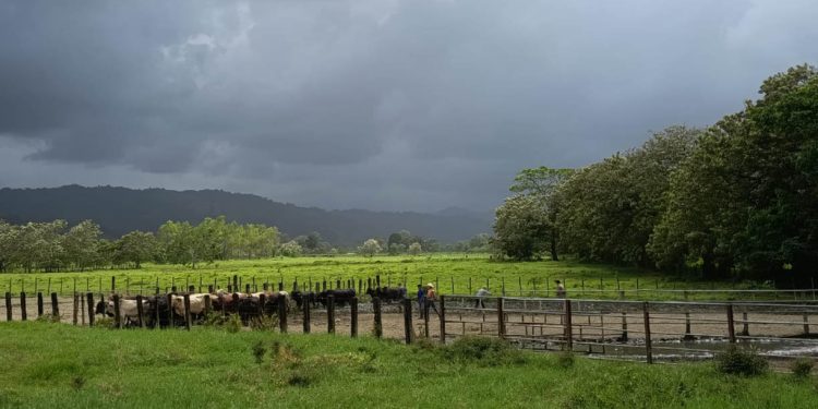 Para esta semana se prevé que continúe el calor y se presenten lluvias irregulares