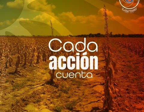 Acciones preventivas ante sequía y escasez de agua