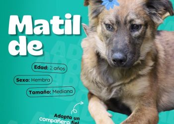 Dales la oportunidad de ser parte de tu familia