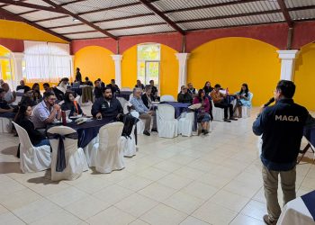 Aportan propuestas para definir la Política de Agricultura Urbana y Periurbana