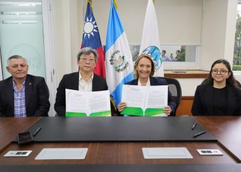 Bambú abre nuevas oportunidades para recuperar suelos degradados
