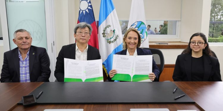 Bambú abre nuevas oportunidades para recuperar suelos degradados