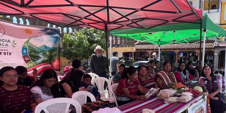 Mintrab capacita a mujeres de comunidad maya Mam