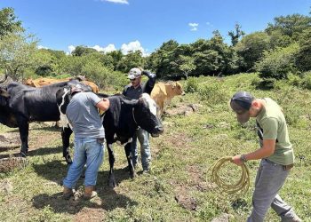 Calor se intensifica y aumenta vulnerabilidad en 143 municipios