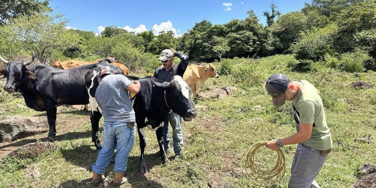 Calor se intensifica y aumenta vulnerabilidad en 143 municipios