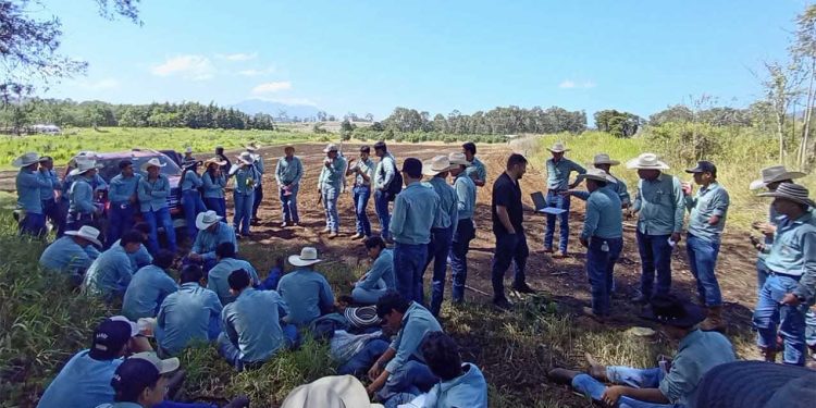 Capacitan a futuros peritos en prácticas sostenibles del programa Suelos y Agua para el Futuro