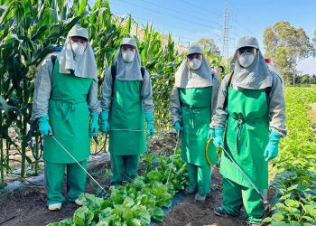 Capacitan a futuros técnicos en el cuidado fitosanitario de siembras de hortalizas