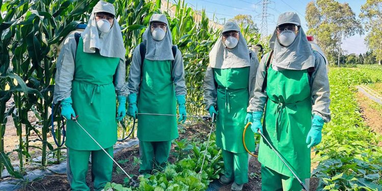 Capacitan a futuros técnicos en el cuidado fitosanitario de siembras de hortalizas