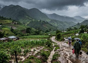 Jutiapa registra el mayor acumulado de lluvia en las últimas 24 horas; Insivumeh mantiene vigilancia