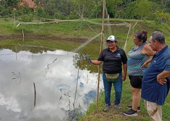 Comunidades de Santa Ana fortalecen proyectos acuícolas