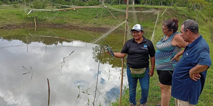 Comunidades de Santa Ana fortalecen proyectos acuícolas