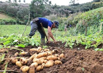 Crédito que impulsa a pequeños y medianos productores