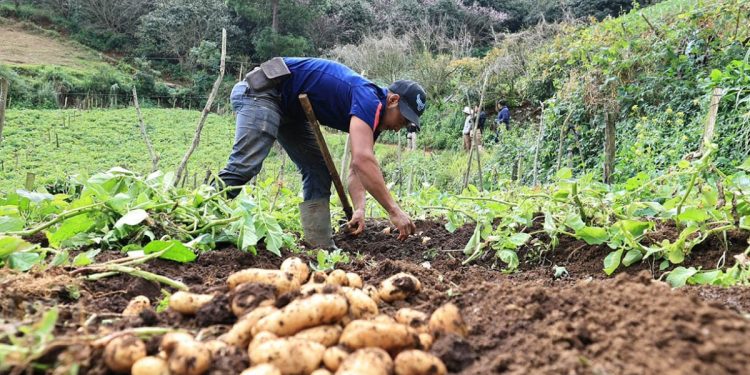 Crédito que impulsa a pequeños y medianos productores