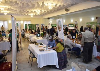 Llega AGROCONECTA a Huehuetenango