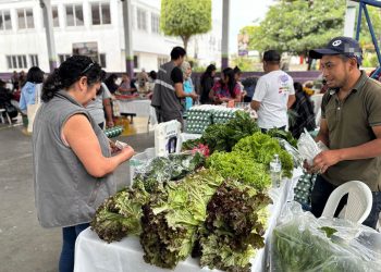 Encuentre los mejores productos y precios en la Feria del Agricultor de Bárcena