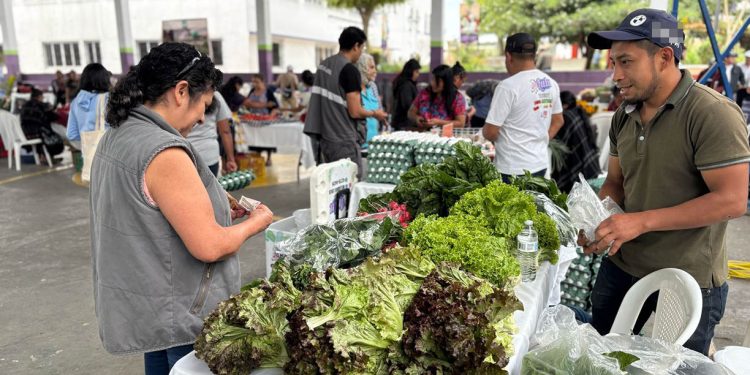 Encuentre los mejores productos y precios en la Feria del Agricultor de Bárcena