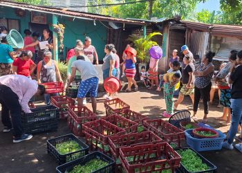 Entrega de pilones y capacitación impulsan los huertos familiares en Escuintla