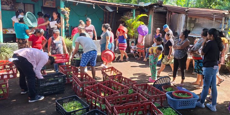 Entrega de pilones y capacitación impulsan los huertos familiares en Escuintla