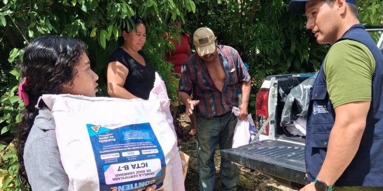 Entregan semillas de maíz y ayote para fortalecer la agricultura familiar en El Chal
